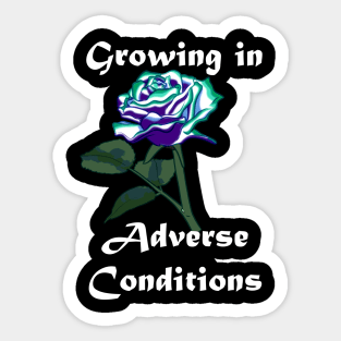 Gay (MLM) Pride Rose Sticker